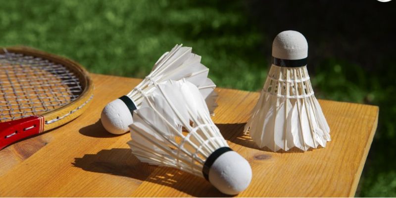 Cá cược cầu lông tại VNLoto | Thắng to dễ dàng với từng cú smash chuẩn 3 Cá cược cầu lông