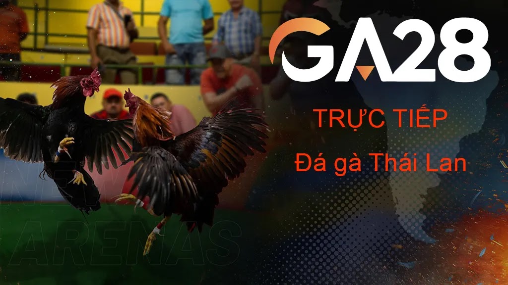 Đá gà GA28 tại VNLoto | Cược hay, thắng lớn, hốt ngay thưởng nóng 1 da ga ga28